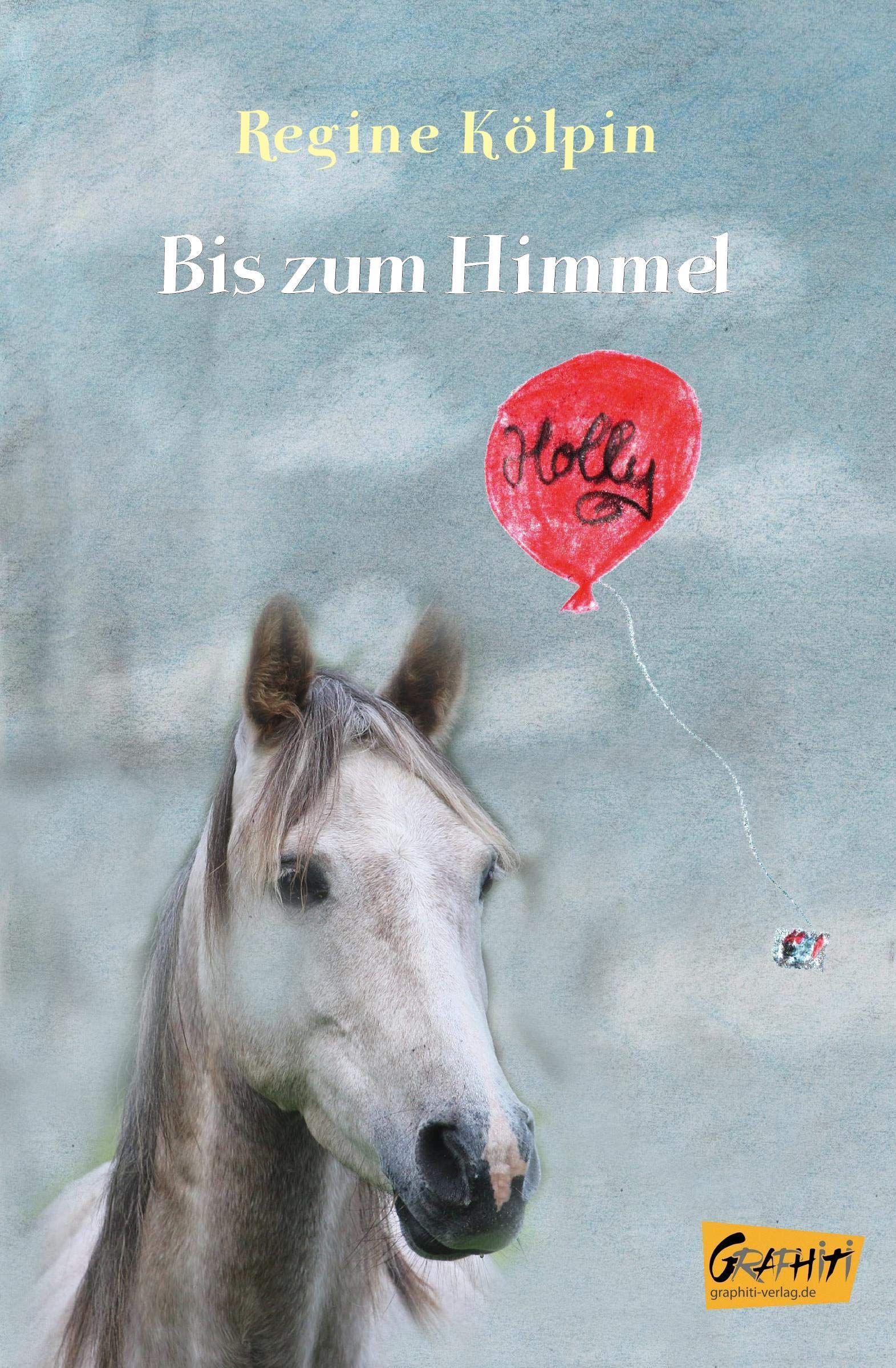 Bis zum Himmel: Pferderoman Contemporary literature