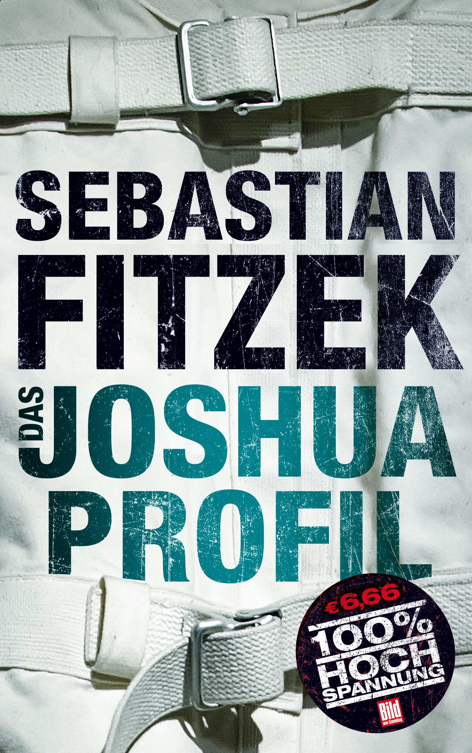 Product Image: Das Joshua-Profil