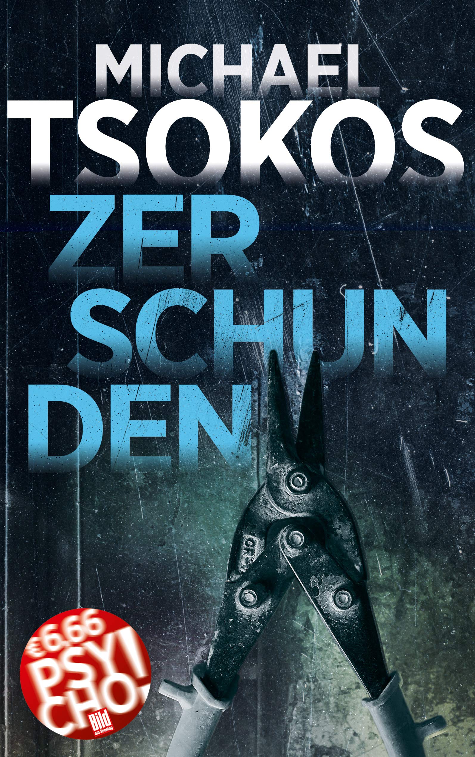 Zerschunden Contemporary literature Books