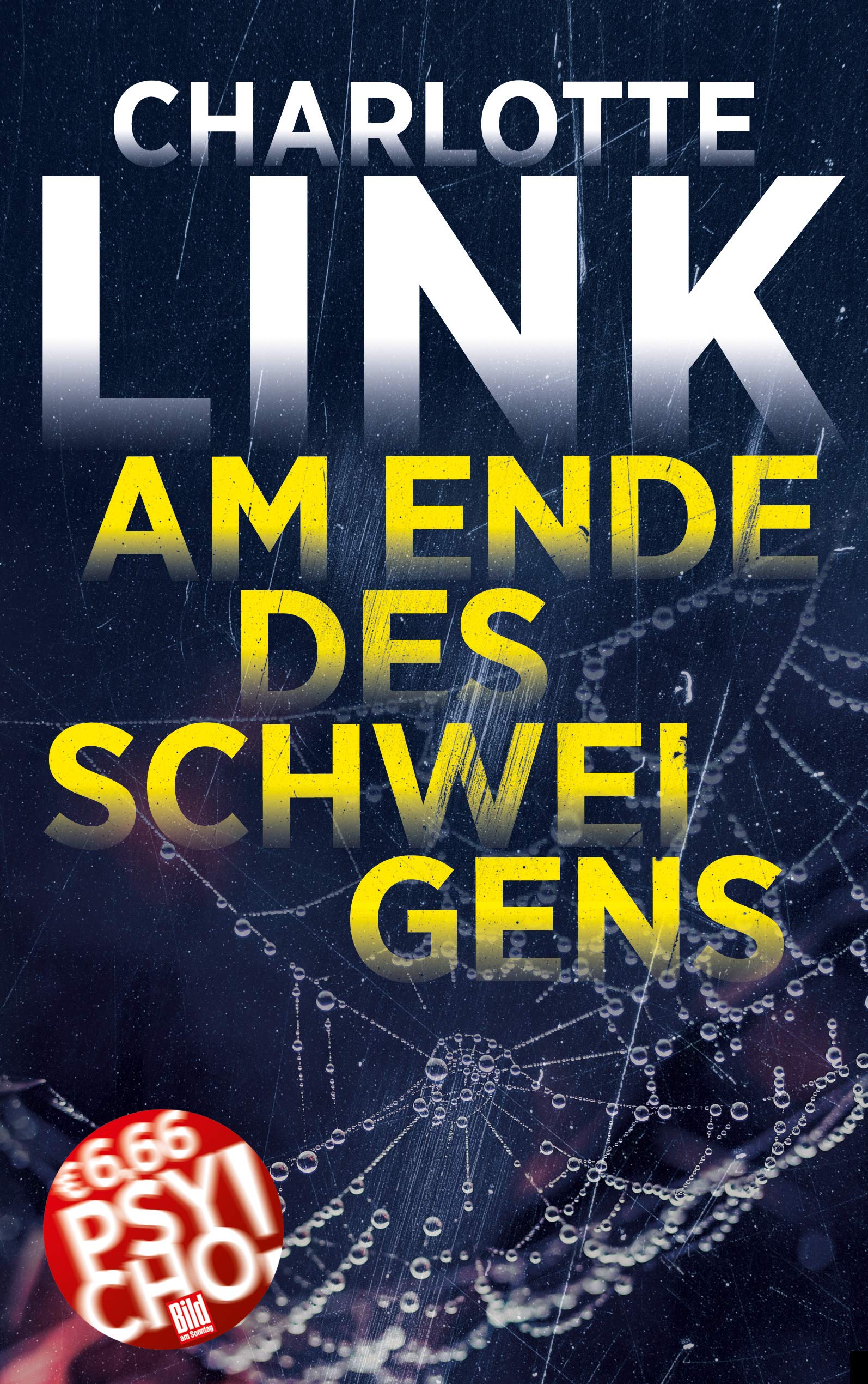 Am Ende des Schweigens Contemporary literature Books