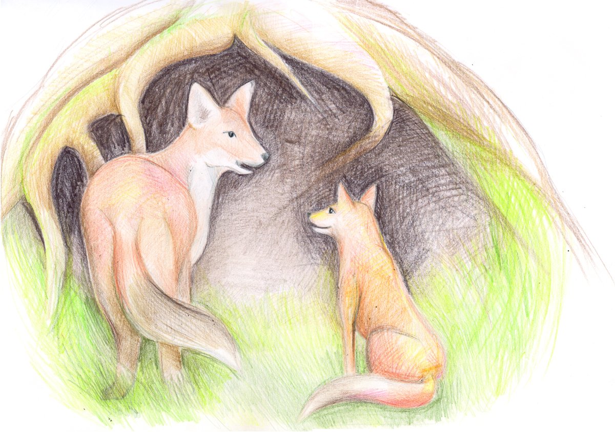 Der kleine Fuchs Poco, der auszog um herauszufinden, was das Wichtigste aus der Welt ist Fairy Tales & Legends