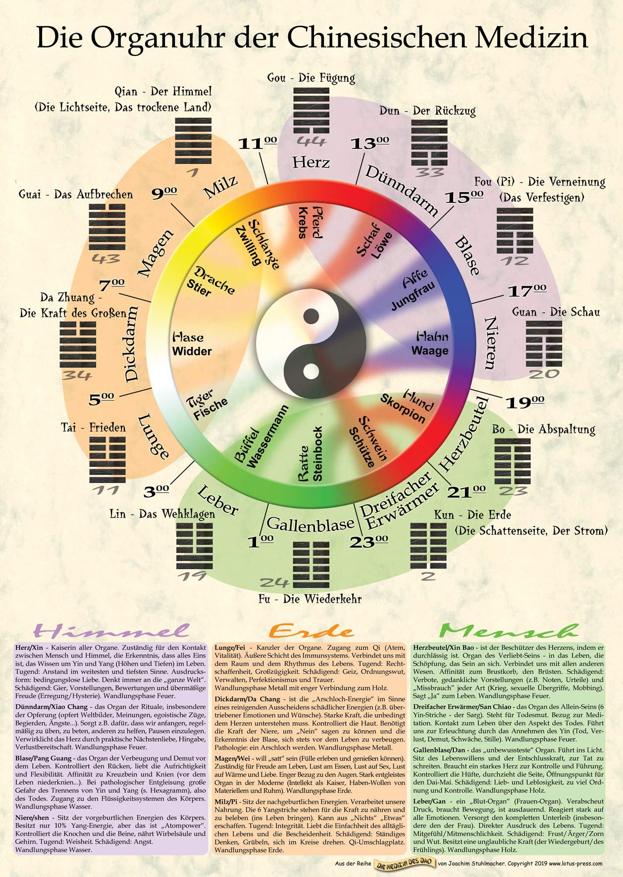 Die Organuhr der Chinesischen Medizin (Poster DIN A2) Health, Nutrition & Fitness
