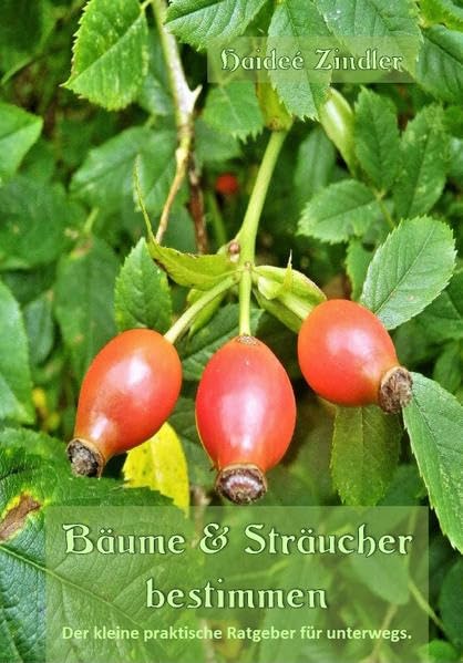 Bäume & Sträucher bestimmen: Der kleine praktische Ratgeber für unterwegs - Zindler, Haideé book