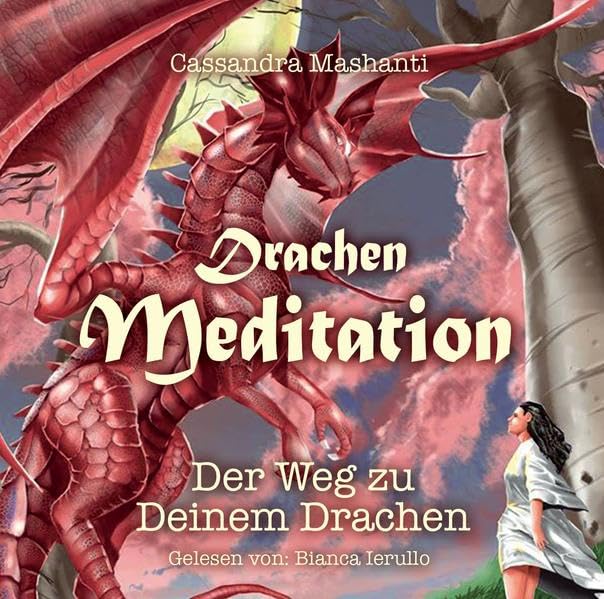 Product Image: Drachen Meditation