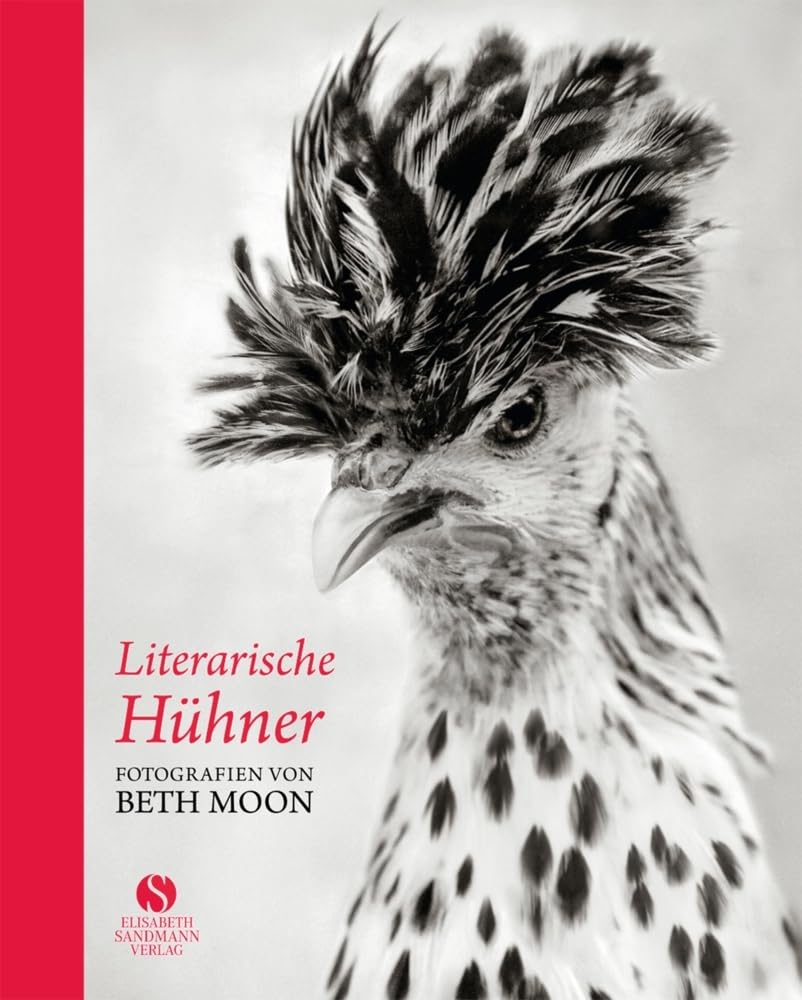 Literarische Hühner Photography