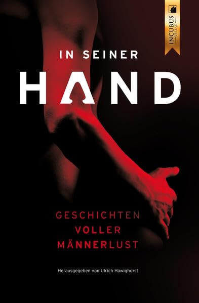 In seiner Hand: Geschichten voller Männerlust: 19 Geschichten voller Männerlust Contemporary literature