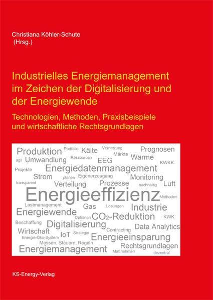 Industrielles Energiemanagement book