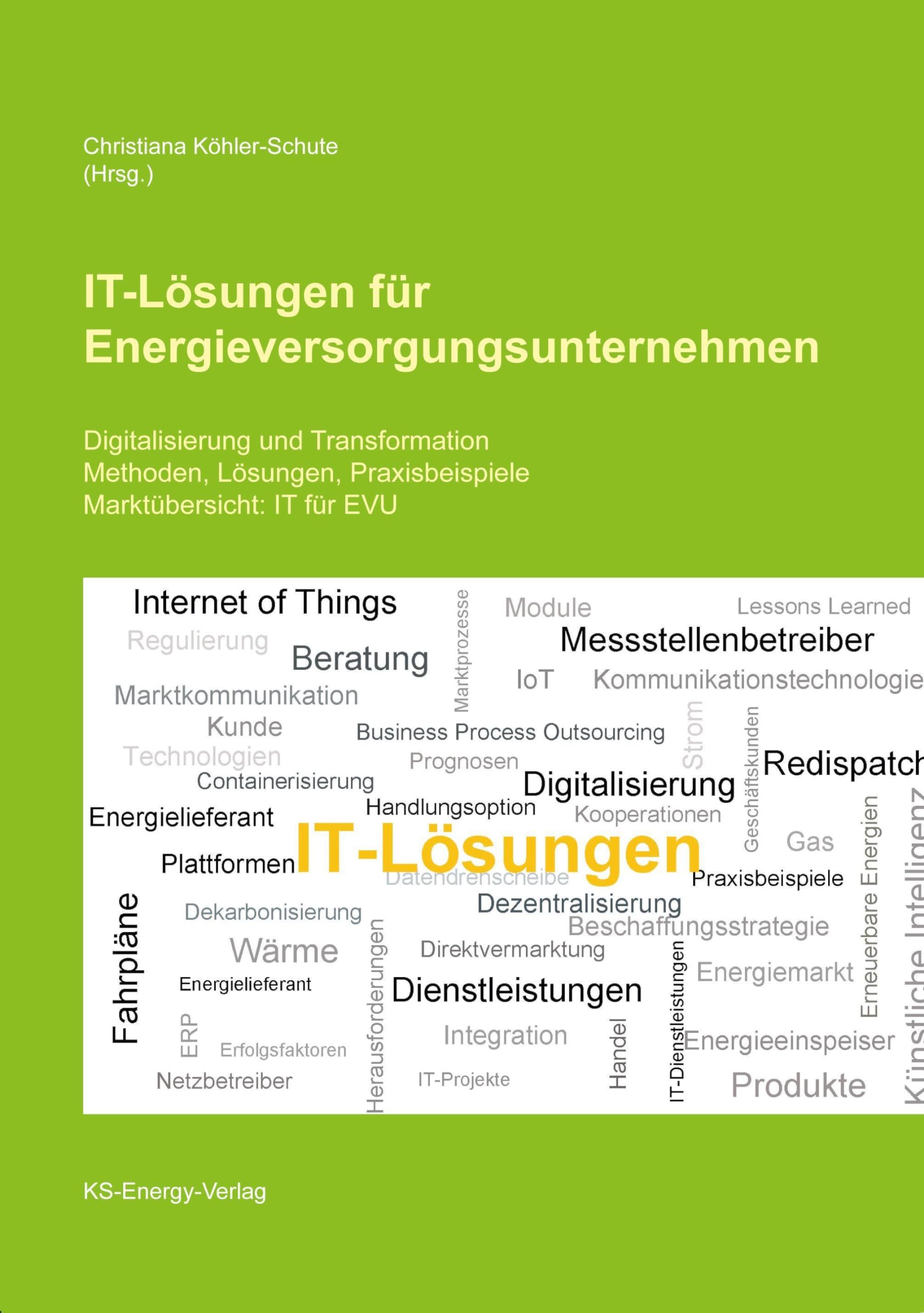 IT-Lösungen für Energieversorgungsunternehmen Computer Science