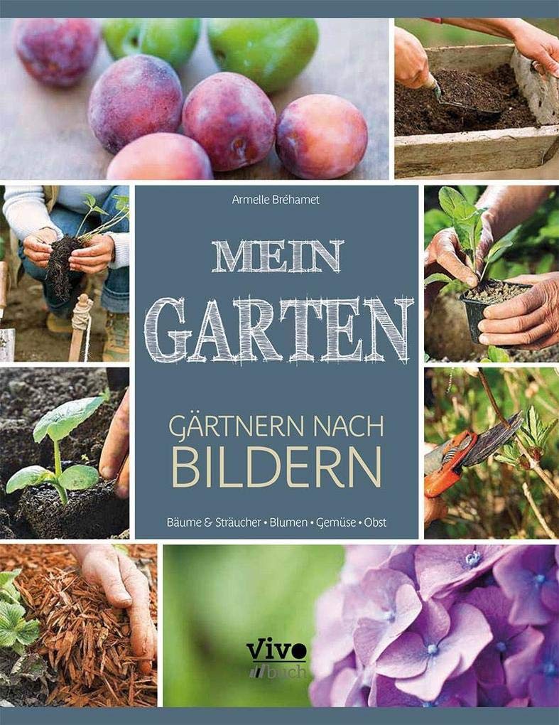 Mein Garten - Gärtnern nach Bildern book