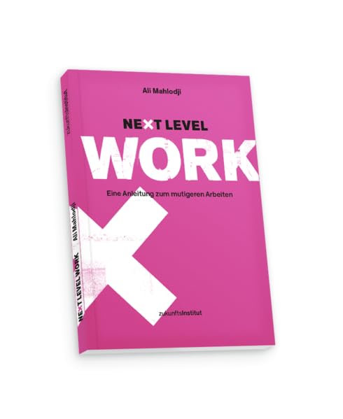Next Level Work: Eine Anleitung zum mutigeren Arbeiten Law