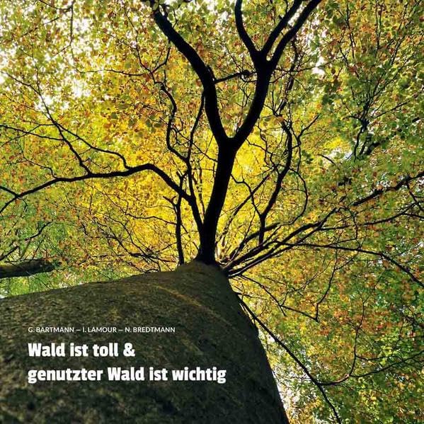 Wald ist toll &: genutzter Wald ist wichtig Mathematics