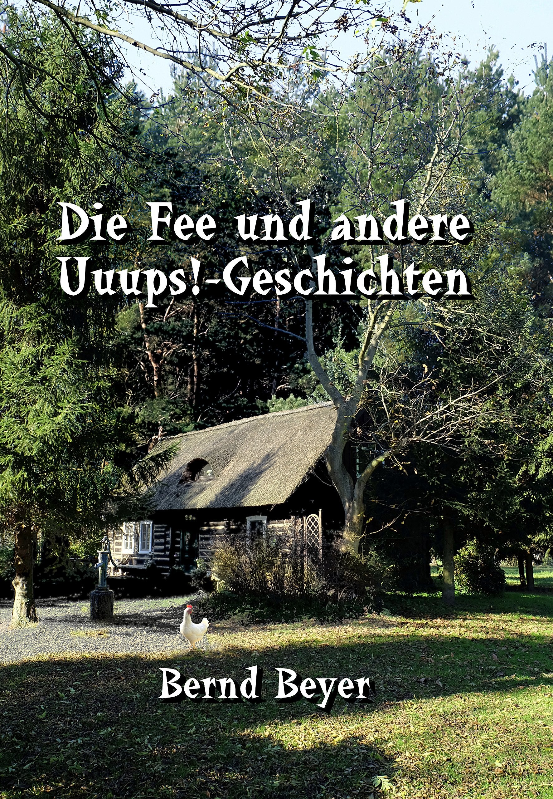 Die Fee und andere Uuups!-Geschichten Essays & Short Stories