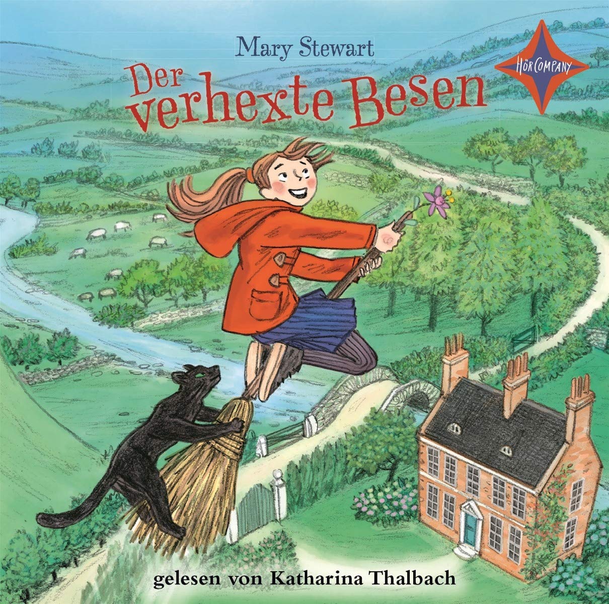 Der verhexte Besen Novels & Short Stories