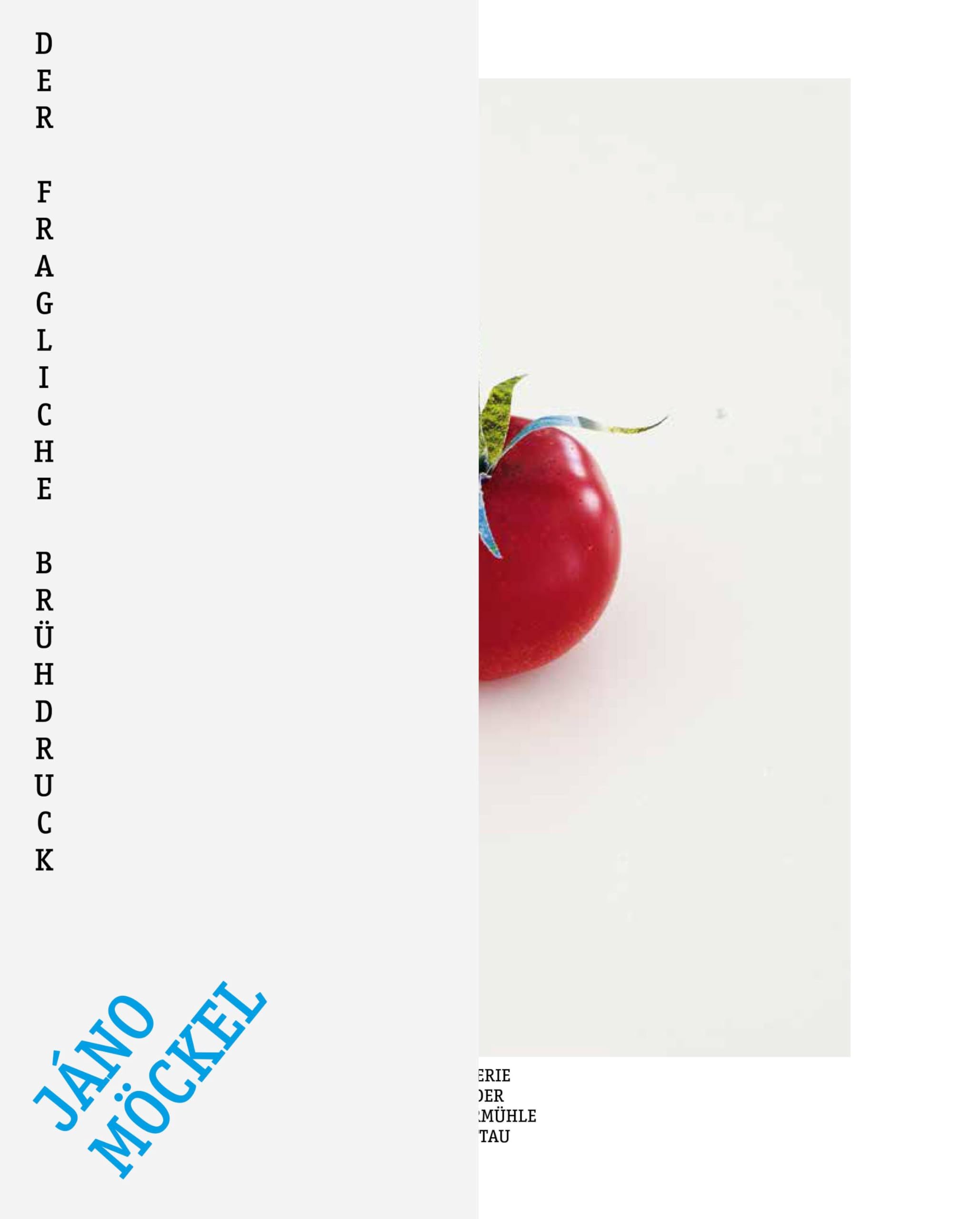 Der fragliche Brühdruck book
