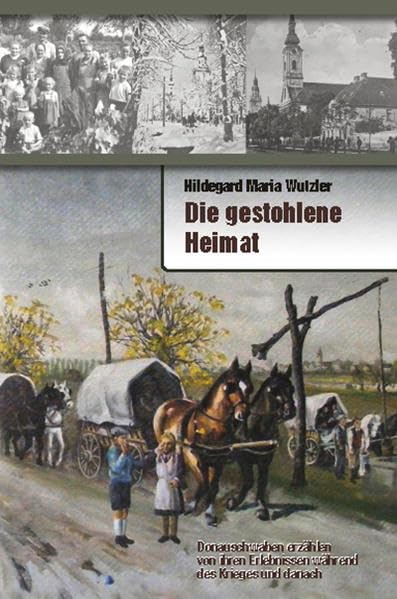 Die gestohlene Heimat book