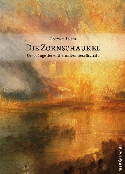 Die Zornschaukel: Ursprünge der enthemmten Gesellschaft Psychology