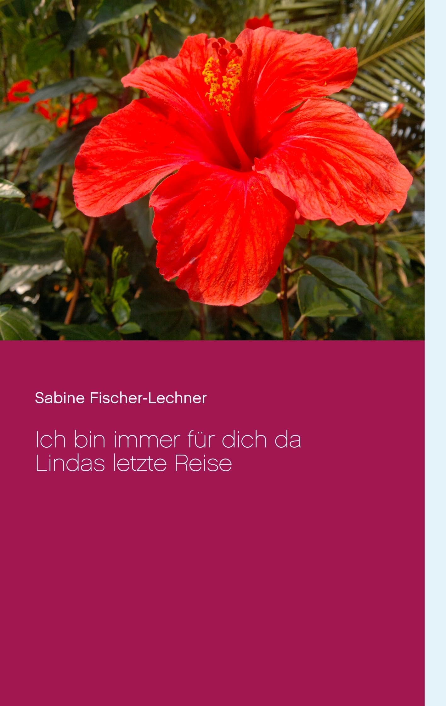 Ich bin immer für dich da: Lindas letzte Reise Contemporary literature