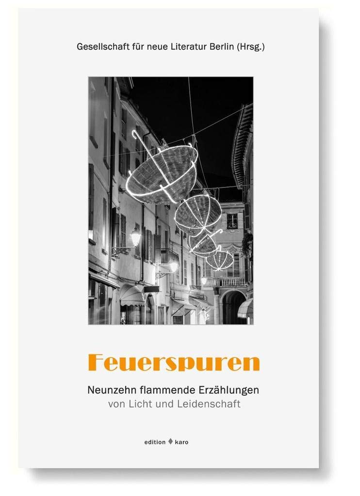 Feuerspuren: Neunzehn flammende Erzählungen von Licht und Leidenschaft Contemporary literature Books