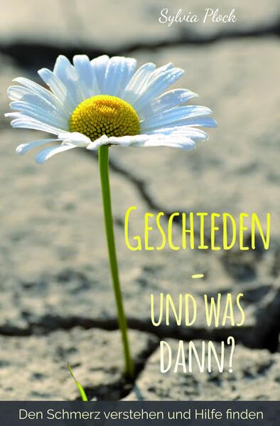 Geschieden – und was dann?: Den Schmerz verstehen und Hilfe finden Religion & Esotericism