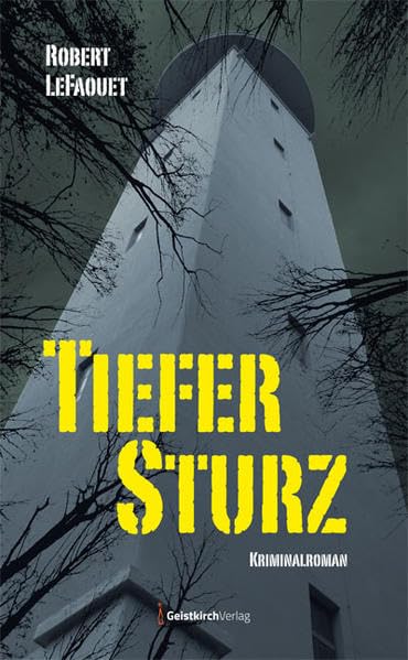 Tiefer Sturz Contemporary literature Books