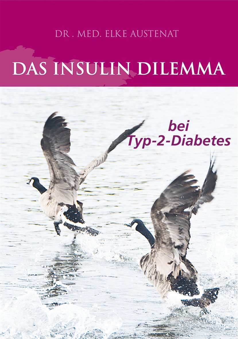 Das Insulin Dilemma: bei Typ-2-Diabetes Medicine