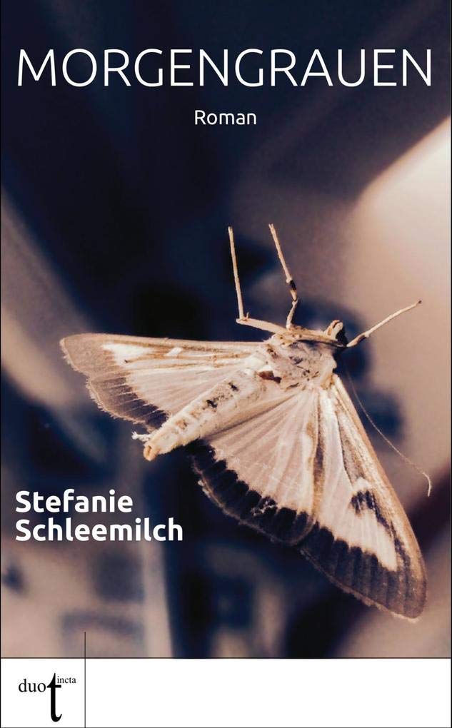 Morgengrauen: Roman Contemporary literature