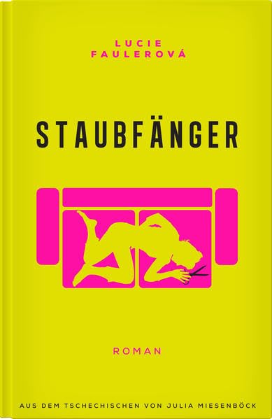 Staubfänger Contemporary literature Books