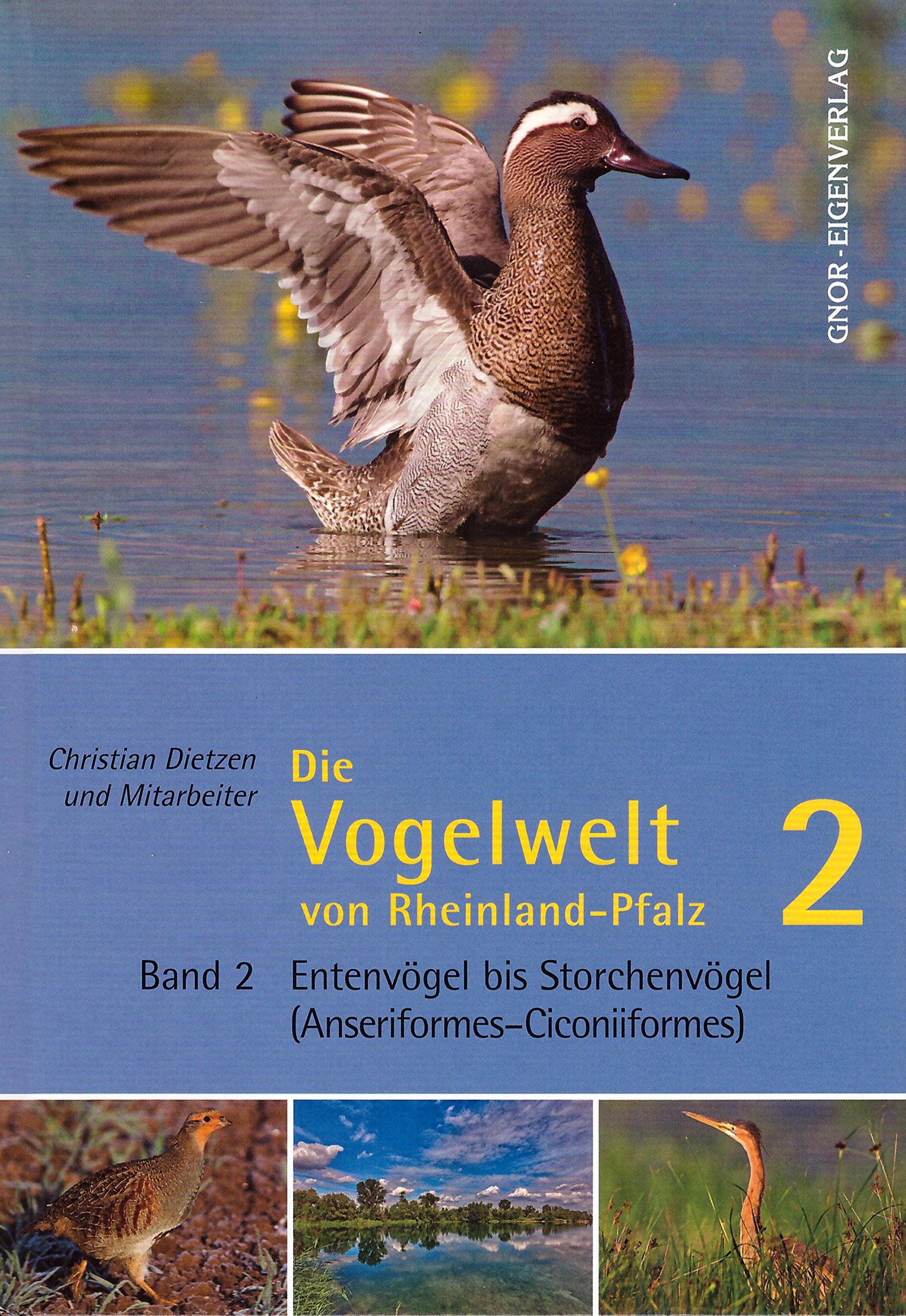 Die Vogelwelt von Rheinland-Pfalz. Band 2: Entenvögel bis Storchenvögel (Anseriformes - Ciconiiformes) book