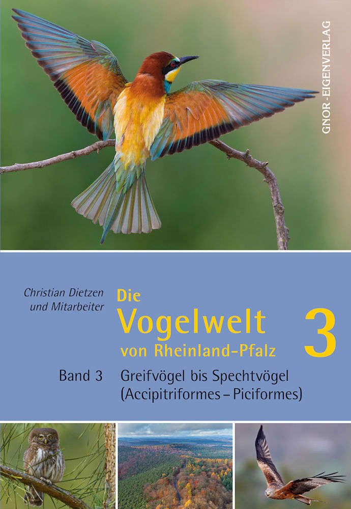 Die Vogelwelt von Rheinland-Pfalz. Band 3: Greifvögel bis Spechtvögel (Accipitriformes - Piciformes) Books