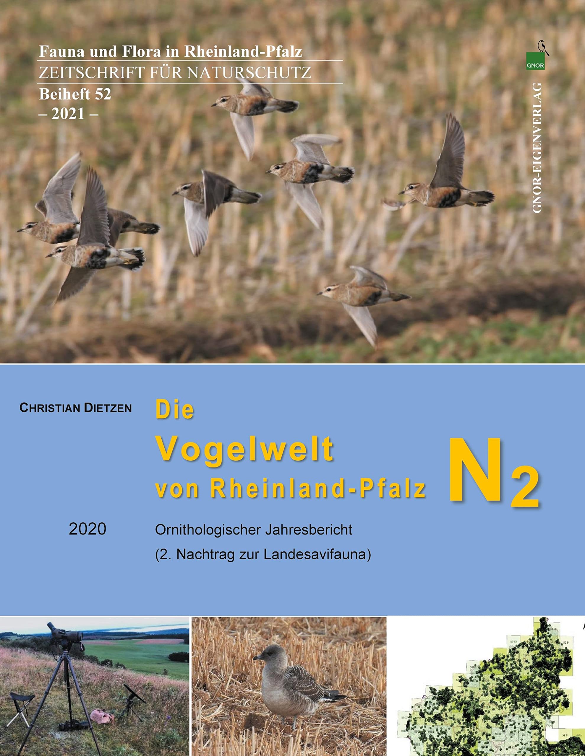 Die Vogelwelt von Rheinland-Pfalz N2 2020: Ornithologischer Jahresbericht (2. Nachtrag zur Landesavifauna) Architecture