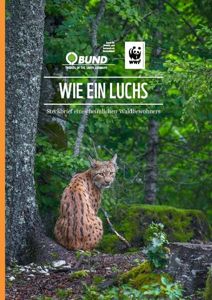 Wie ein Luchs: Steckbrief eines heimlichen Waldbewohners Natural Sciences