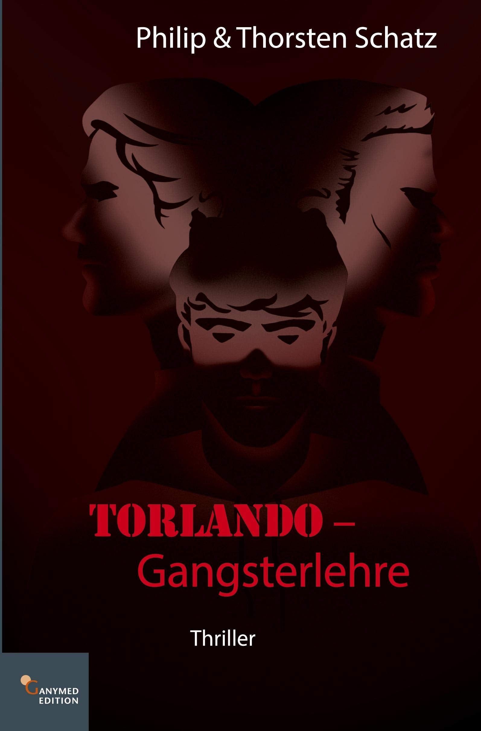 Torlando - Gangsterlehre Contemporary literature