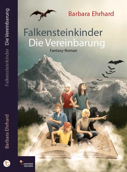 Falkensteinkinder: Die Vereinbarung book