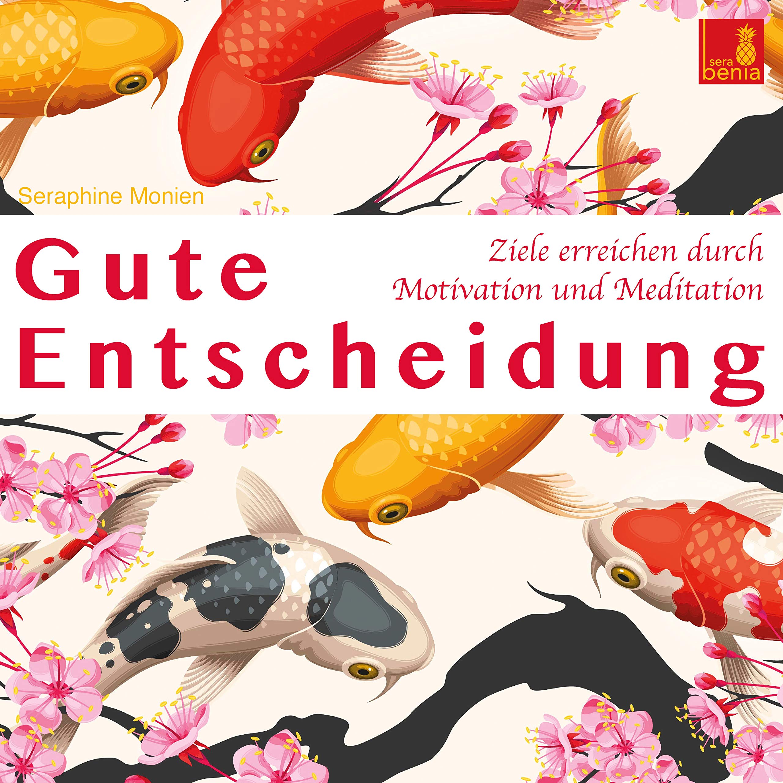 Gute Entscheidung {Ziele erreichen durch Motivation und Meditation} Entscheidungen treffen | Erfolgreich werden – Mentaltraining Business, Finance & Career