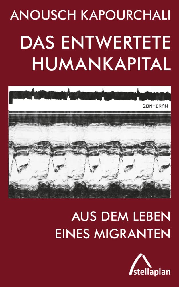 Das entwertete Humankapital book