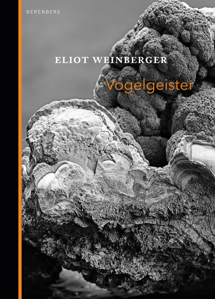 Vogelgeister Essays & Short Stories