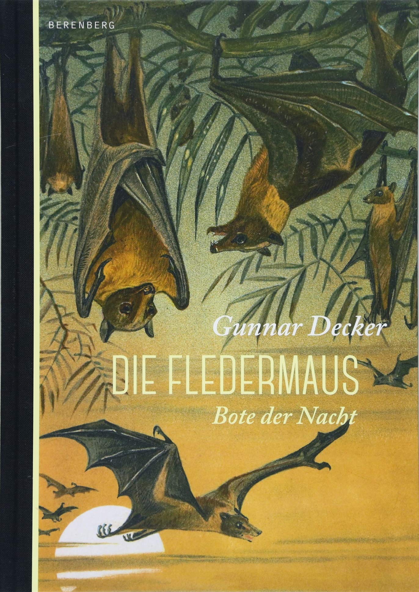 Product Image: Die Fledermaus