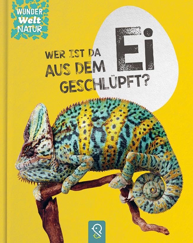 Wer ist da aus dem Ei geschlüpft? Business & Technology