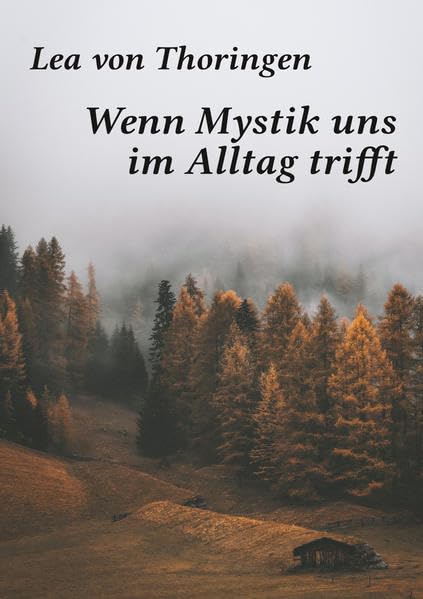Wenn Mystik uns im Alltag trifft Contemporary literature