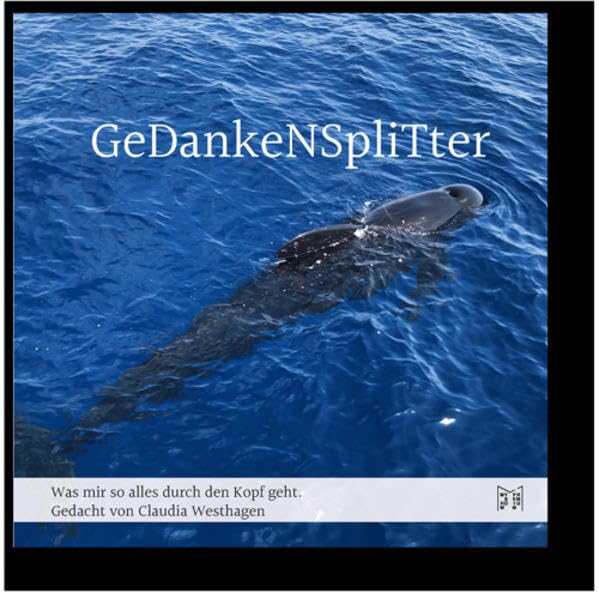 Gedankensplitter: Was mir so alles durch den Kopf geht. Poetry