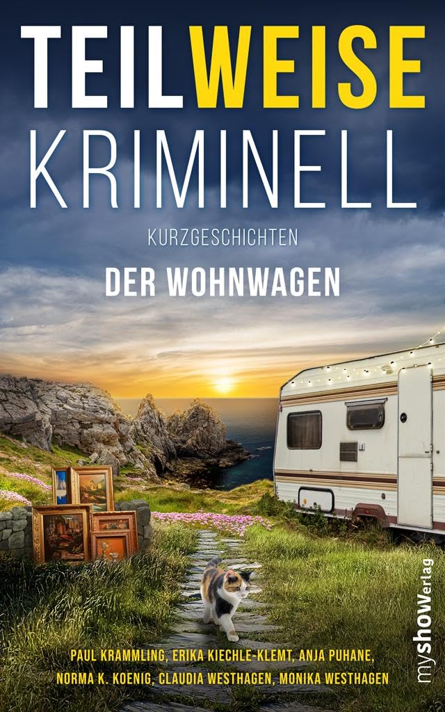 TEILWEISE KRIMINELL Social Sciences