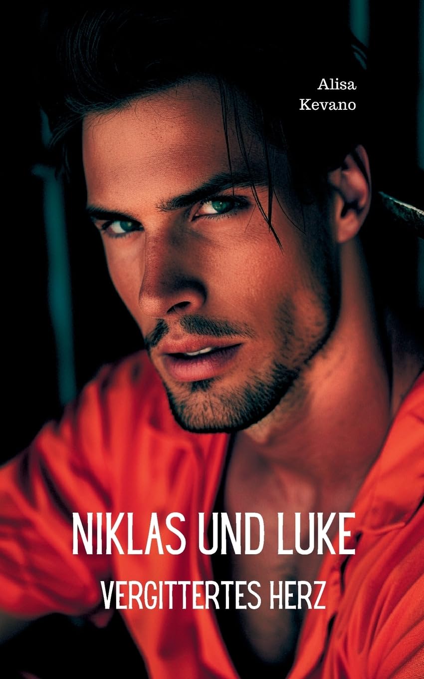 Niklas und Luke: Vergittertes Herz Contemporary literature
