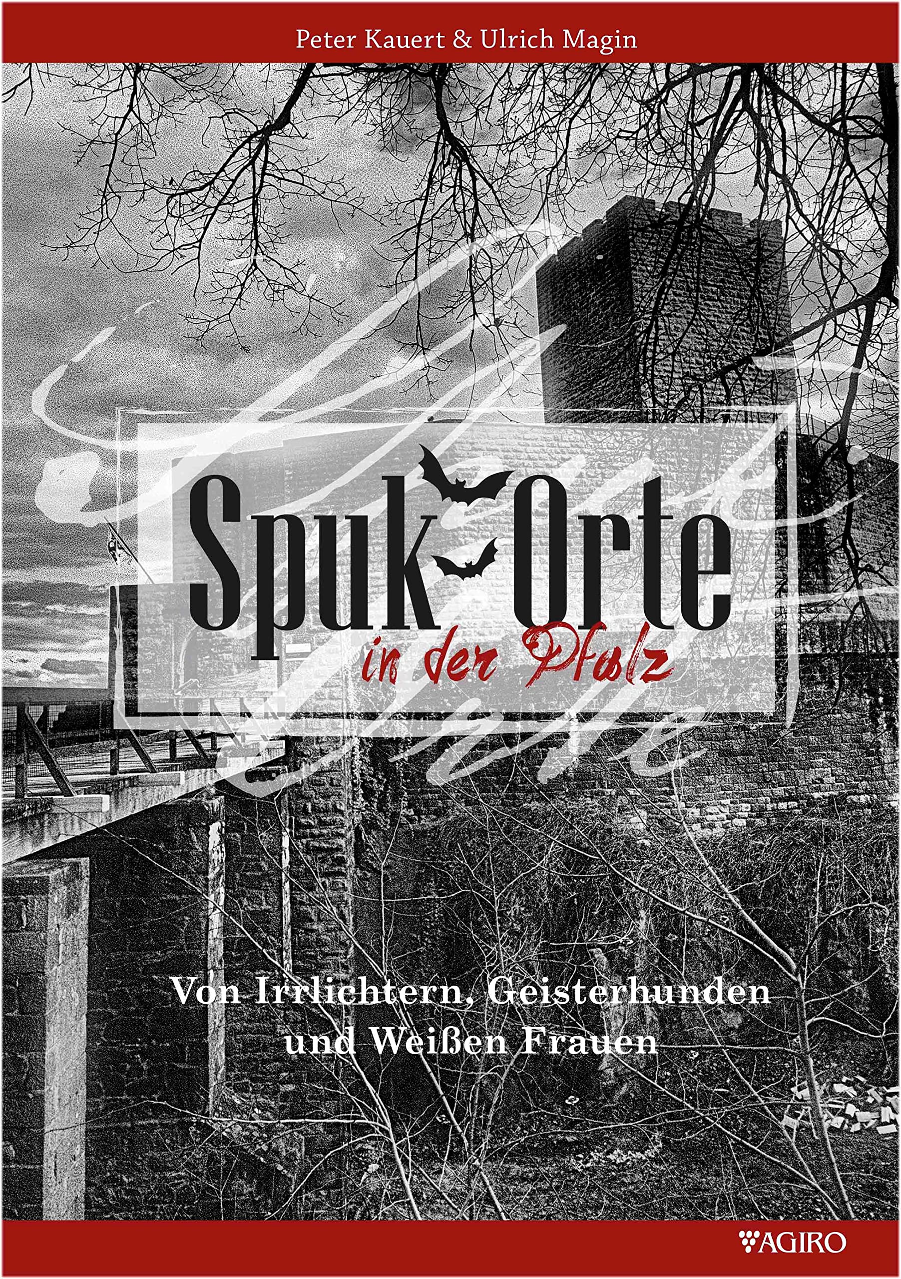 Spukorte in der Pfalz: Von Irrlichtern, Geisterhunden und Weißen Frauen Fairy Tales & Legends