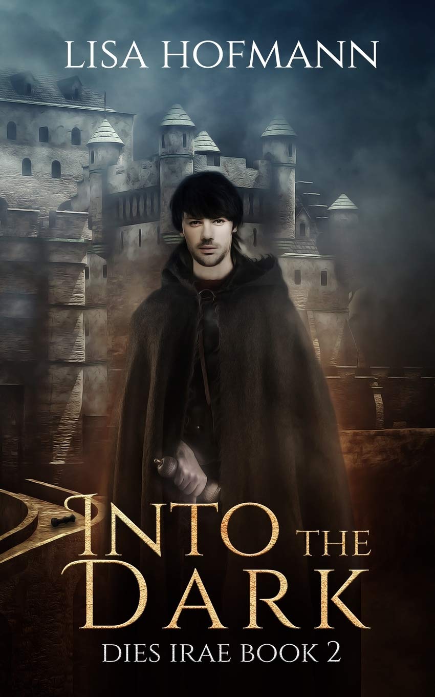 Into the Dark: A Medieval Fantasy (Dies Irae, Band 2) Historical Fiction