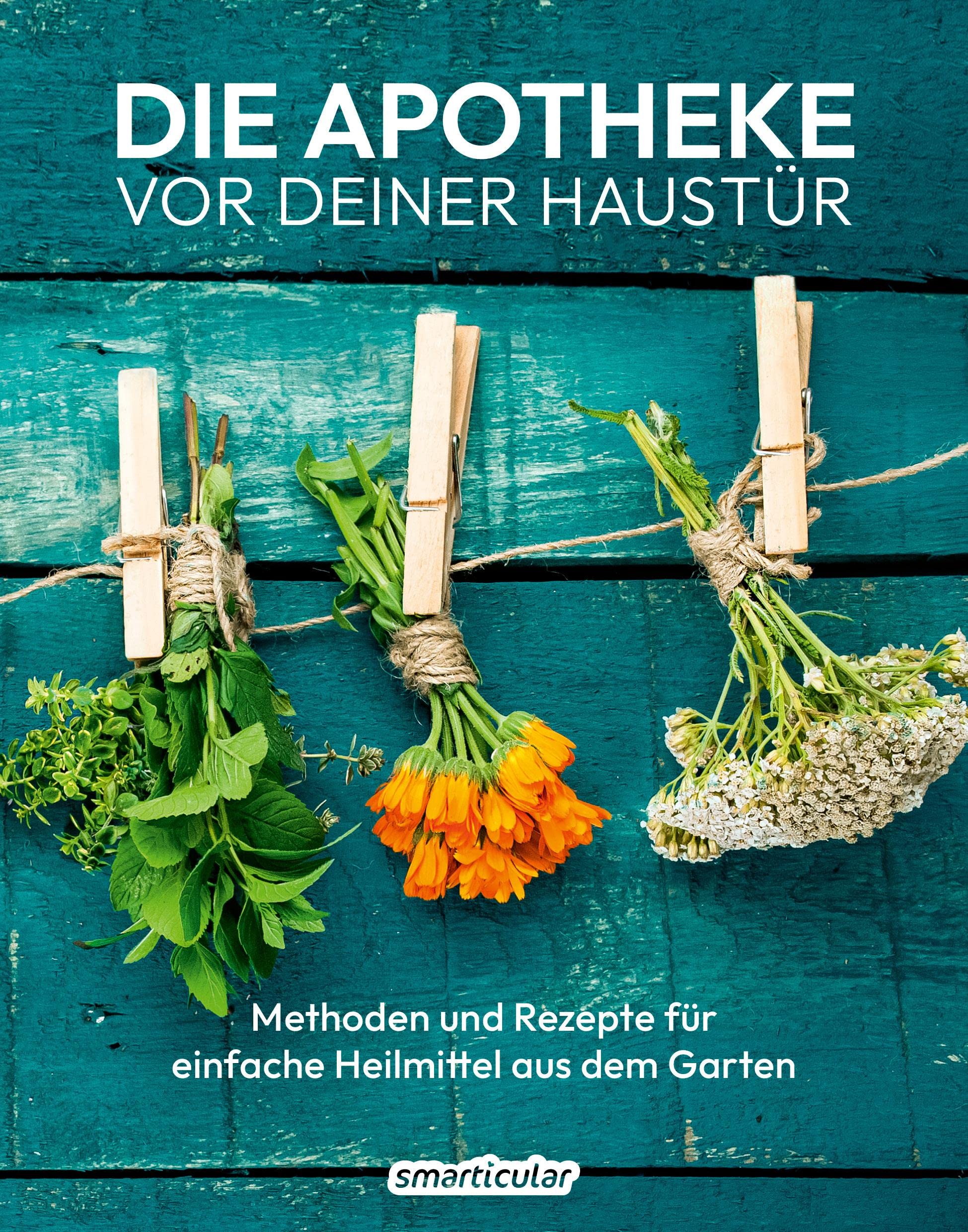 Die Apotheke vor deiner Haustür book