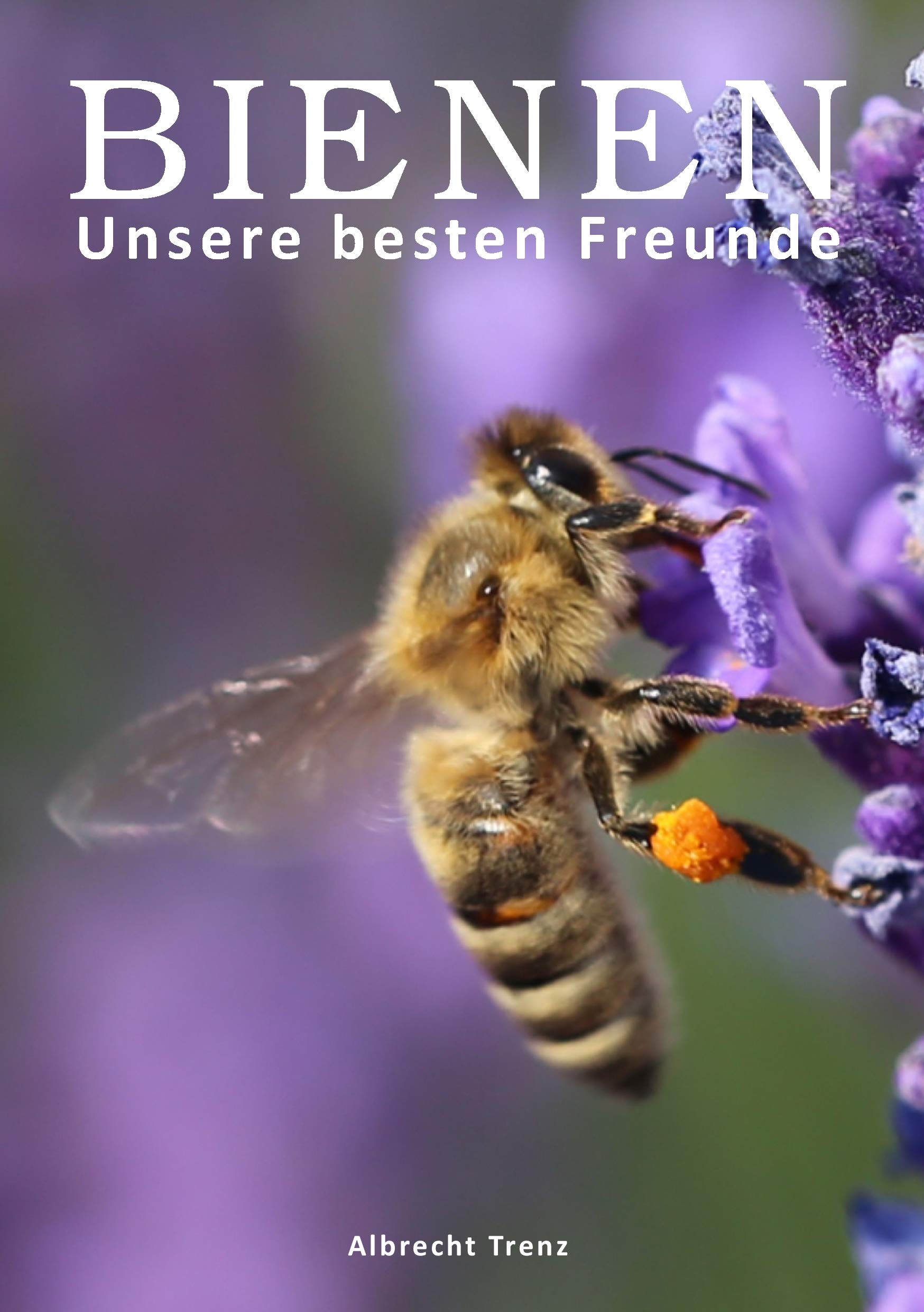 Bienen - Unsere besten Freunde Architecture