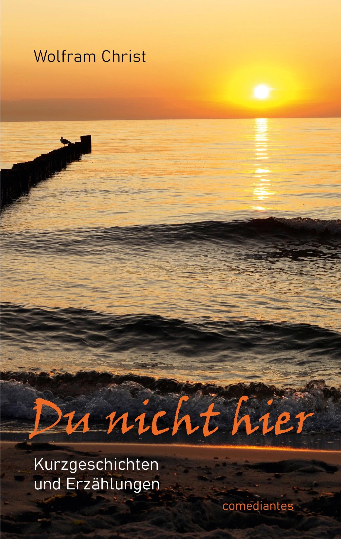 Du nicht hier Contemporary literature Books
