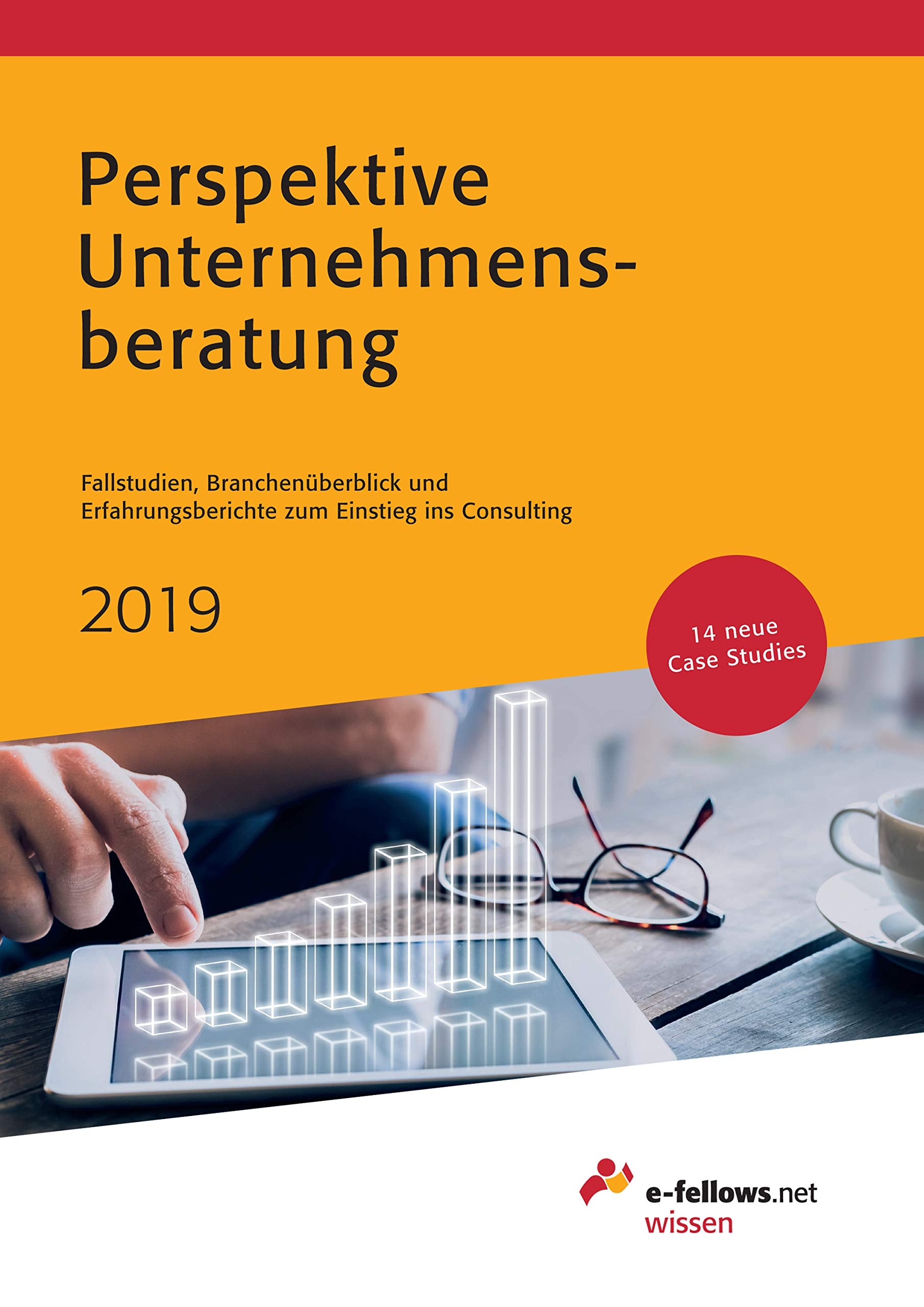 Perspektive Unternehmensberatung 2019 Business, Finance & Career Books