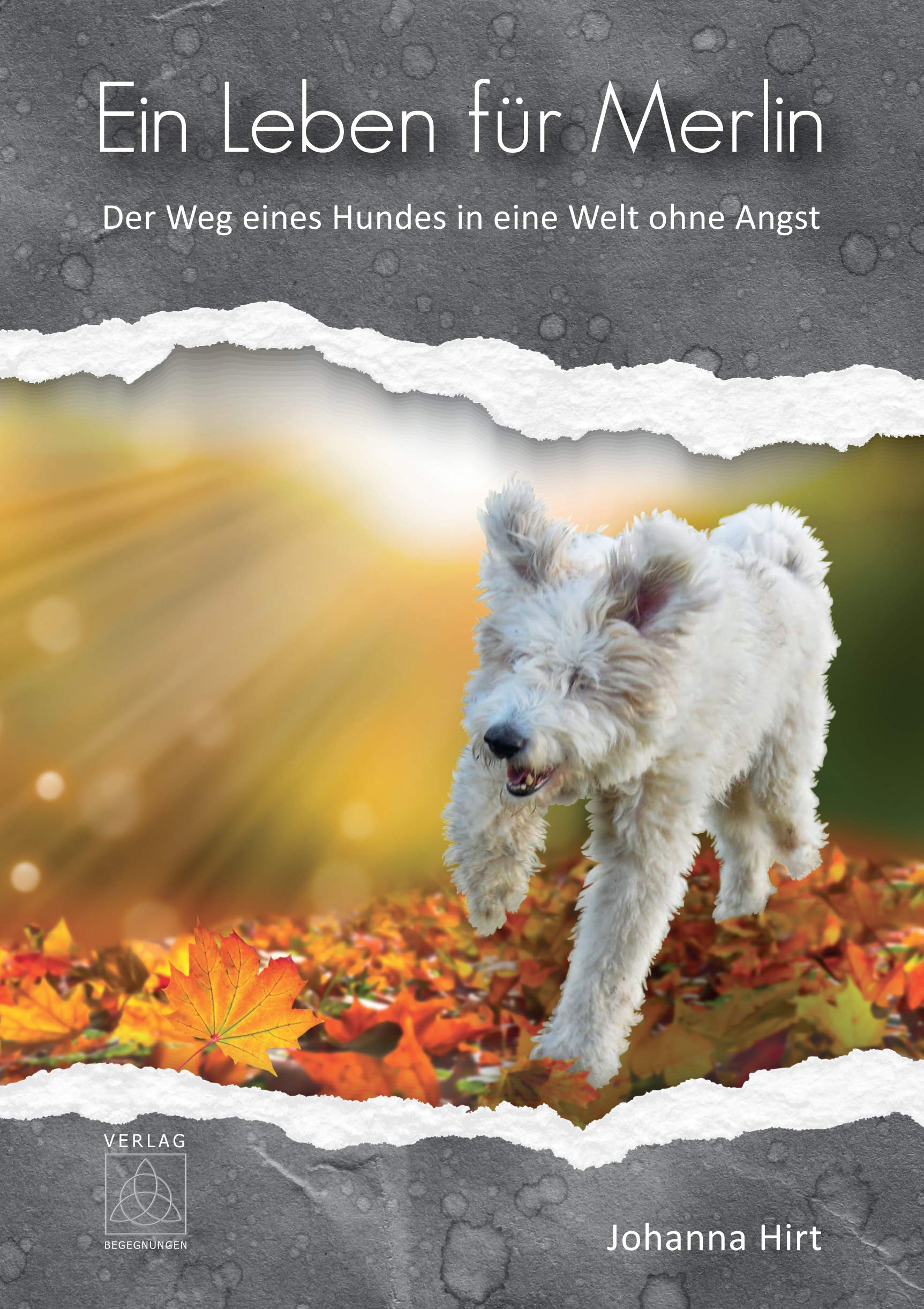 Ein Leben für Merlin book