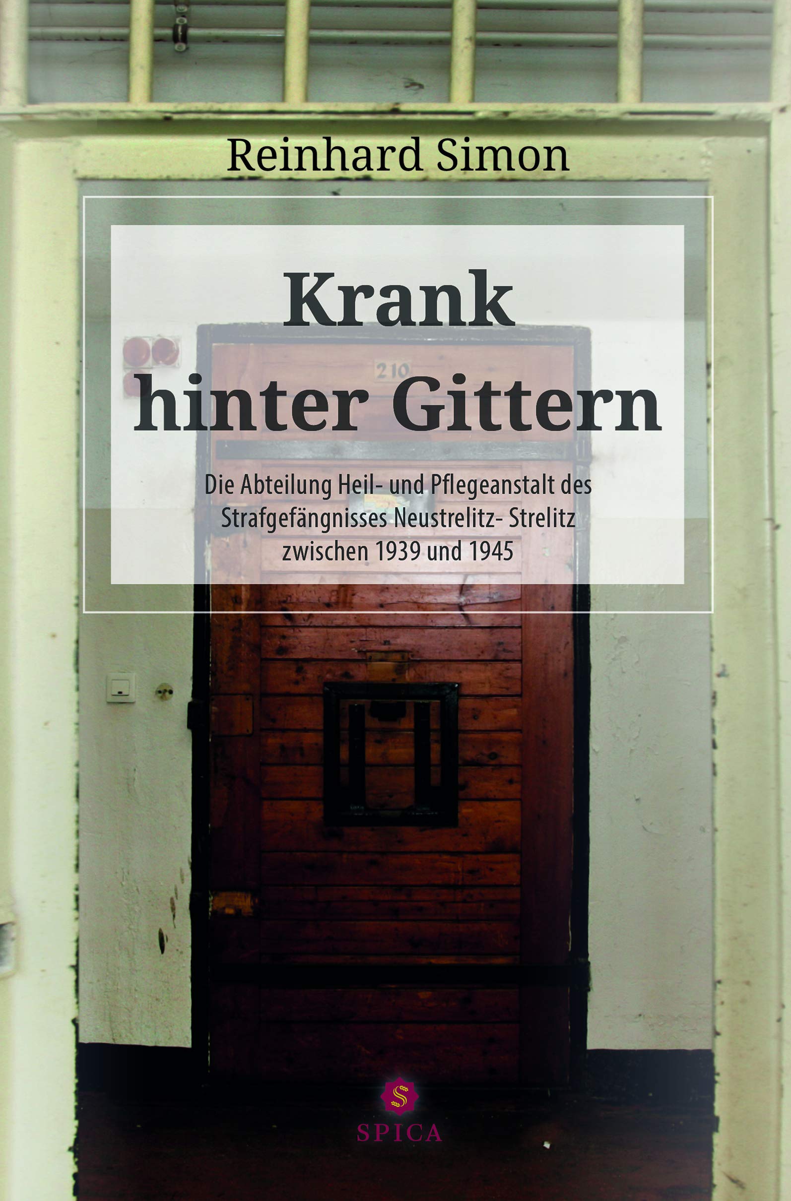 Krank hinter Gittern: Die Abteilung Heil- und Pflegeanstalt des Strafgefängnisses Neustrelitz- Strelitz zwischen 1939 und 1945 book